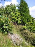 Fotka 1