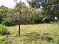 Fotka 11