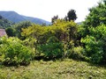 Fotka 7