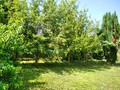 Fotka 6