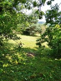 Fotka 4