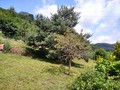 Fotka 2