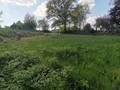 Fotka 8