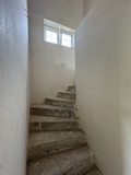 Fotka 26