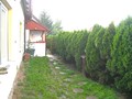 Fotka 24