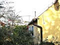 Fotka 29