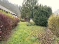 Fotka 24