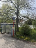 Fotka 22