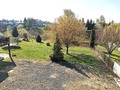 Fotka 24