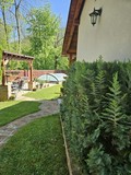 Fotka 31